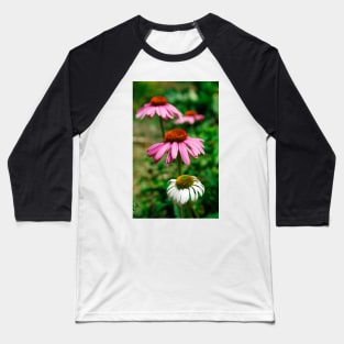 Echinacea Purpurea Baseball T-Shirt